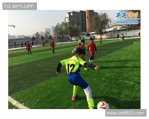 2016年足球动画的魅力与影响力探讨及其在青少年教育中的应用